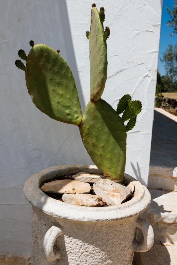 Il Trullo Della Rondinina Villa Алберобело Екстериор снимка