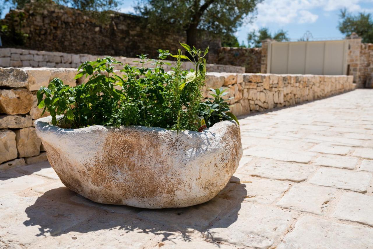 Il Trullo Della Rondinina Villa Алберобело Екстериор снимка