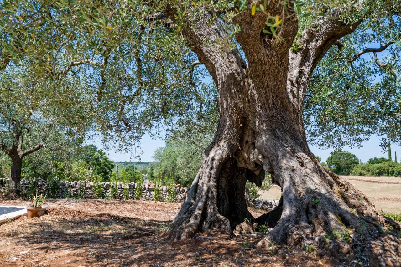 Il Trullo Della Rondinina Villa Алберобело Екстериор снимка