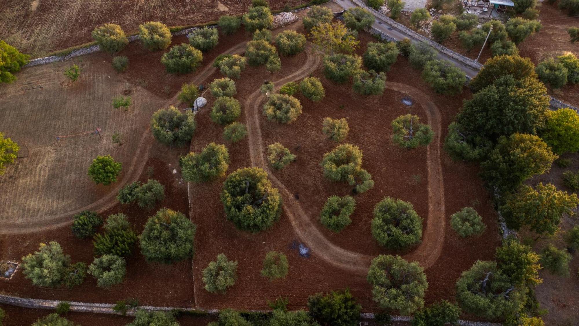 Il Trullo Della Rondinina Villa Алберобело Екстериор снимка