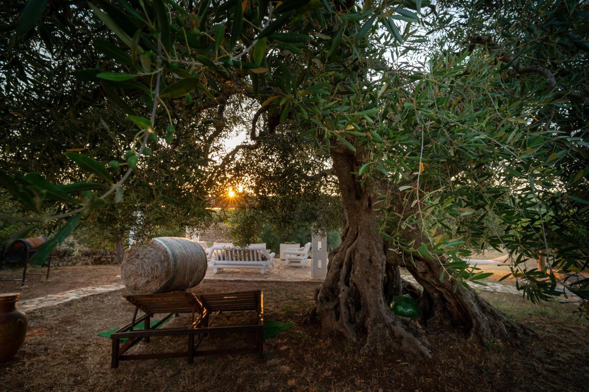 Il Trullo Della Rondinina Villa Алберобело Екстериор снимка