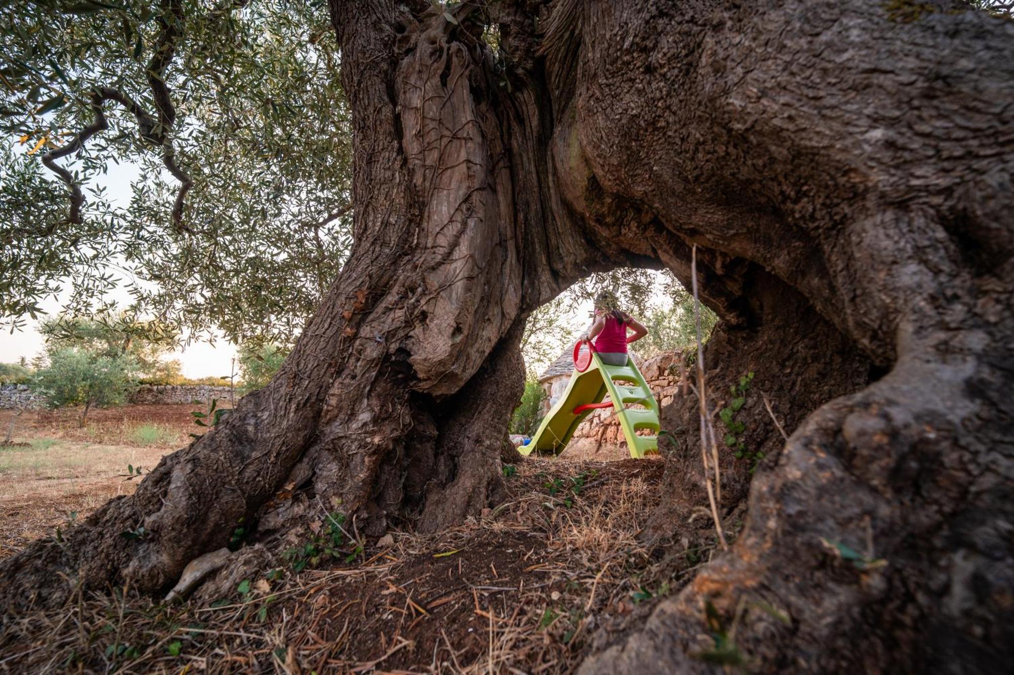 Il Trullo Della Rondinina Villa Алберобело Екстериор снимка